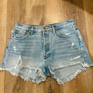 AGOLDE Parker Vintage Cut Off Short